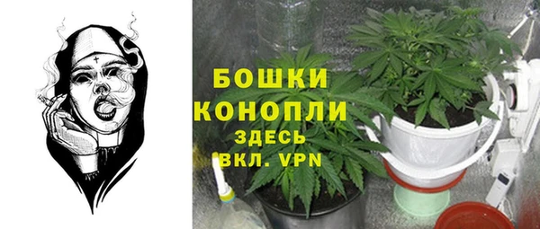 спиды Бородино