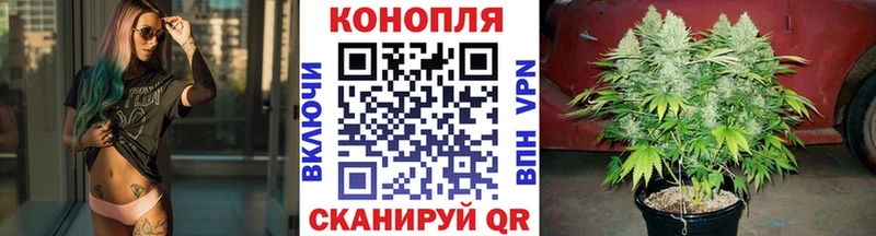 мориарти какой сайт  купить наркотики цена  Воткинск  Бошки марихуана Bruce Banner 